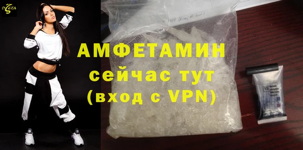 сатива Волоколамск