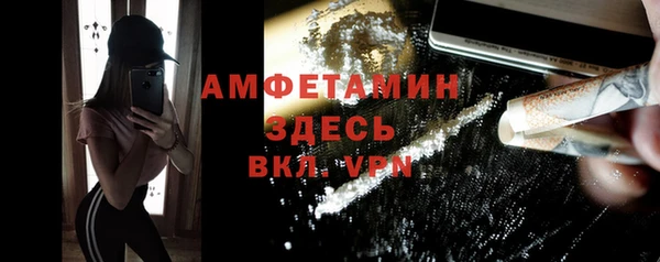сатива Волоколамск