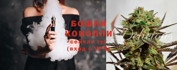 сатива Волоколамск