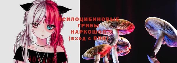 сатива Волоколамск