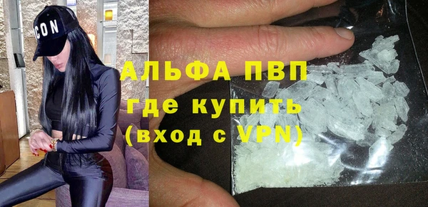 сатива Волоколамск