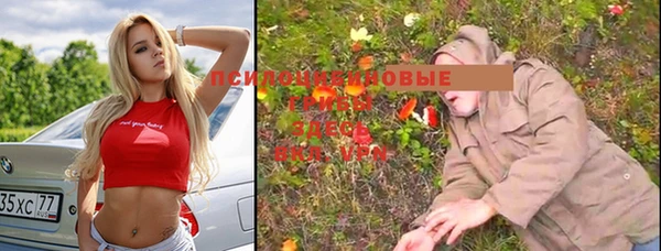 сатива Волоколамск