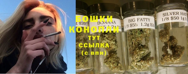 сатива Волоколамск