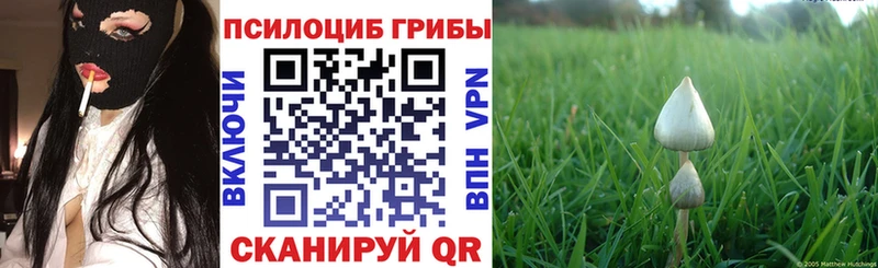 Купить где Колпашево Псилоцибиновые грибы мухоморы